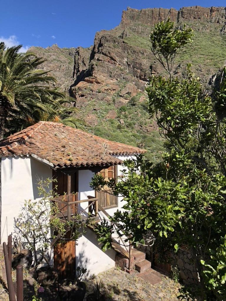 Home2Book El Encanto De La Torre I Santa Cruz de Tenerife Exteriér fotografie